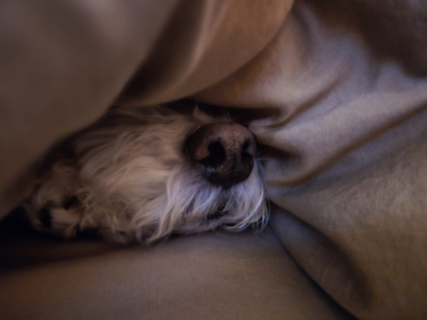 Hankundercovers