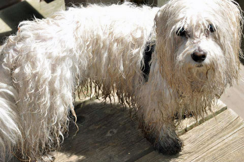 11214230 10206003321674102 2369871817329804998 n 10206003321674102