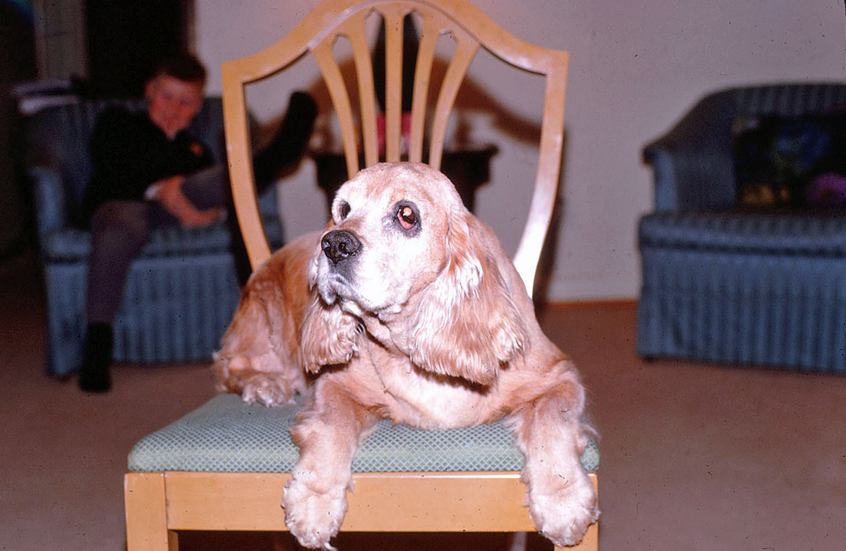 Photos 801 1000 Monaghan 2008 12 10  808