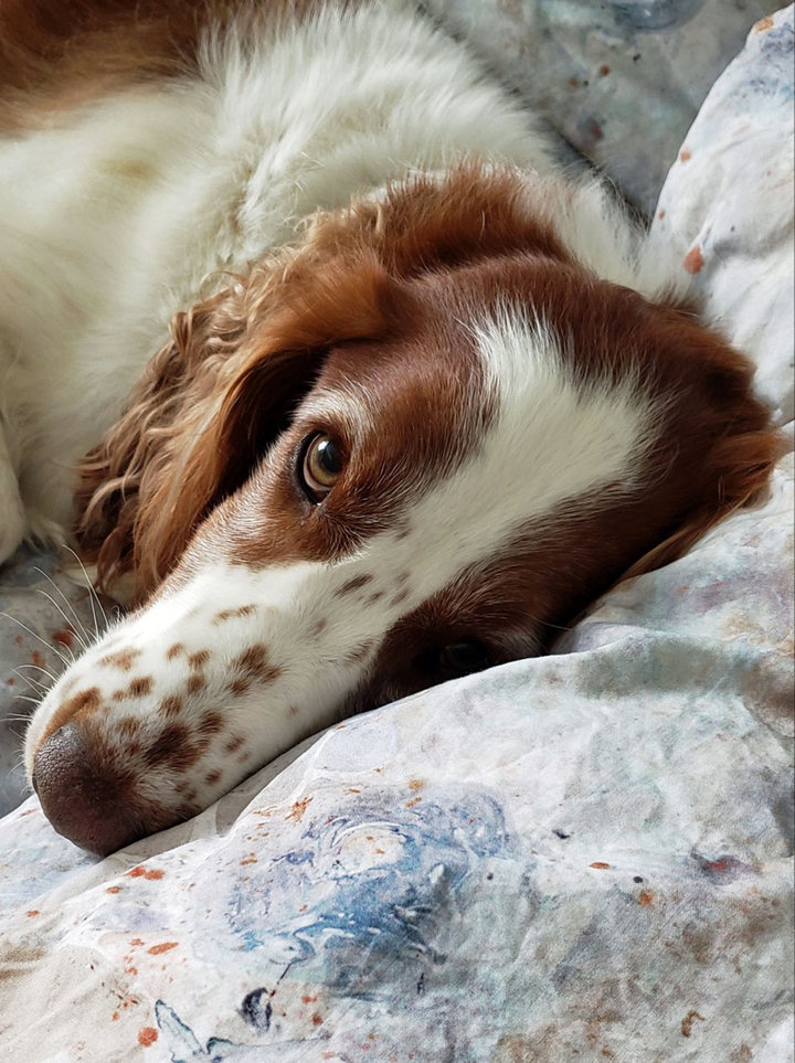 Stella dreamy eyes on bed