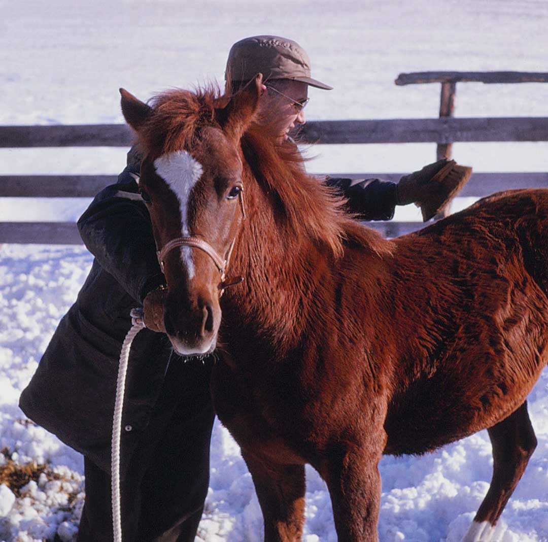 Hugh bolton and horse 1966