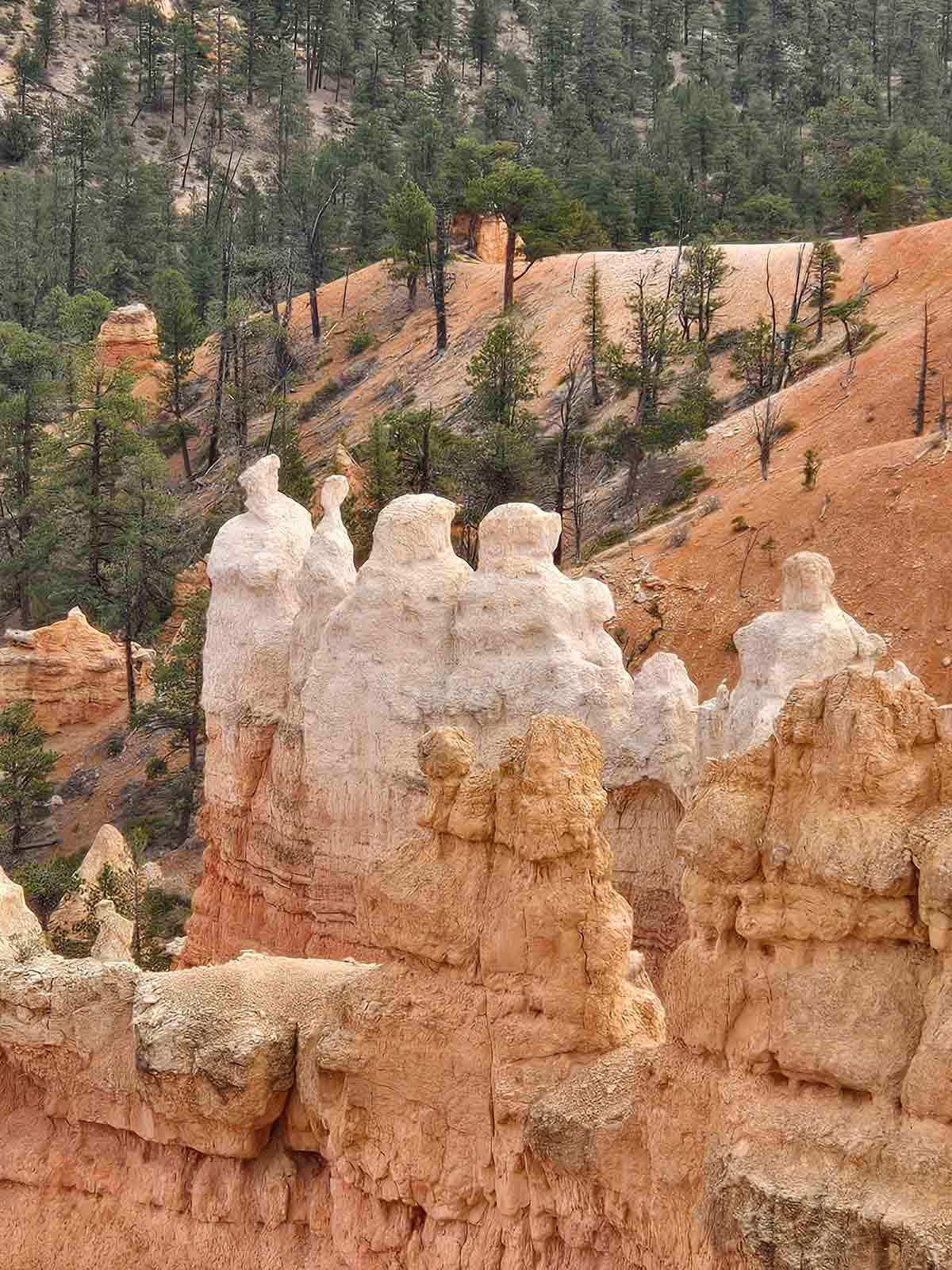 Las Vegas Utah 2025 81