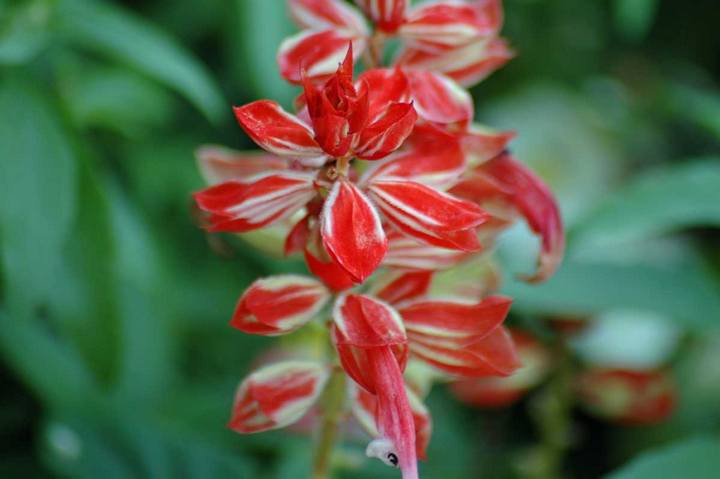 Captured 2004 10 19 00038